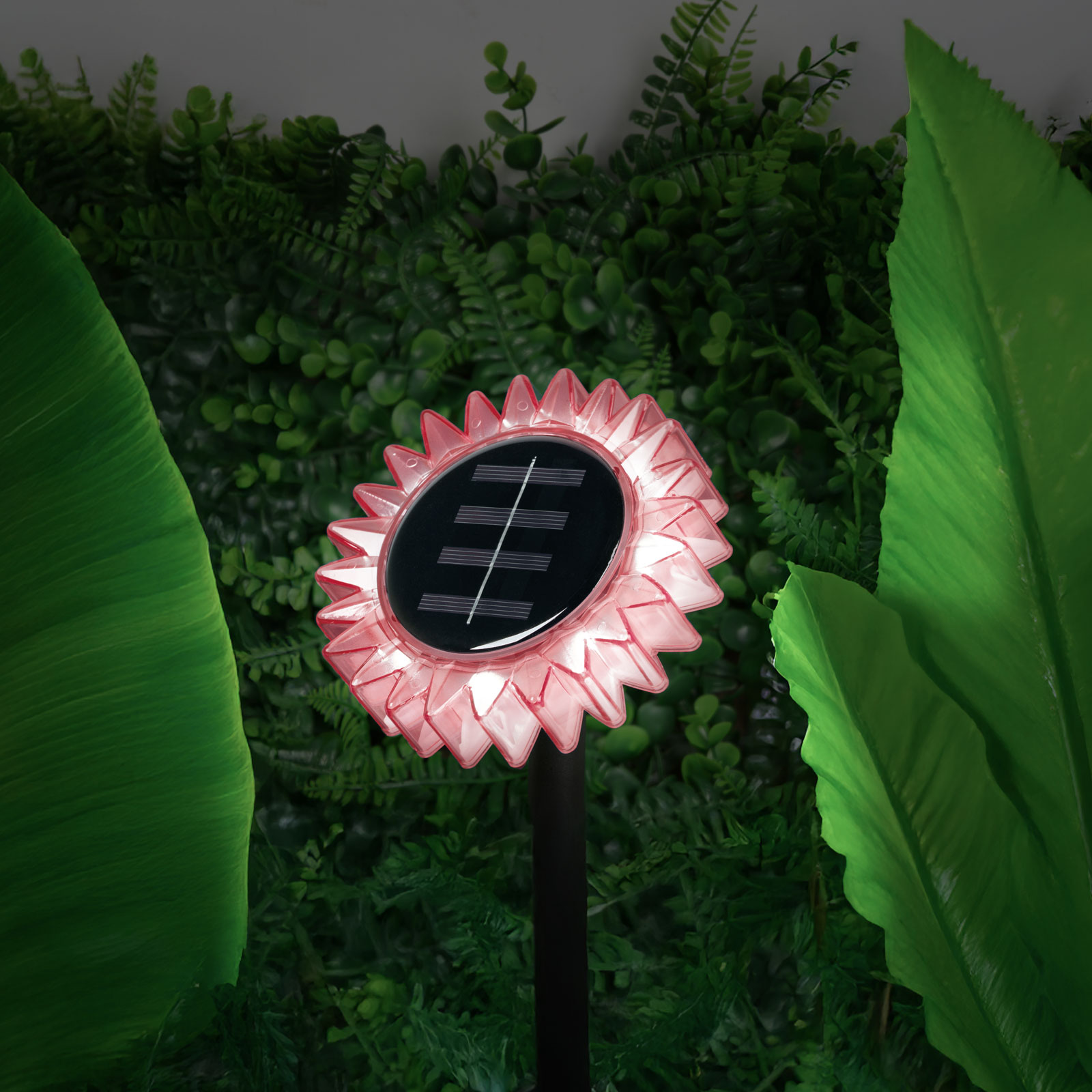 Lampa Solara de Gradina Floarea-Soarelui, LED Alb Cald, 35 cm, Roz