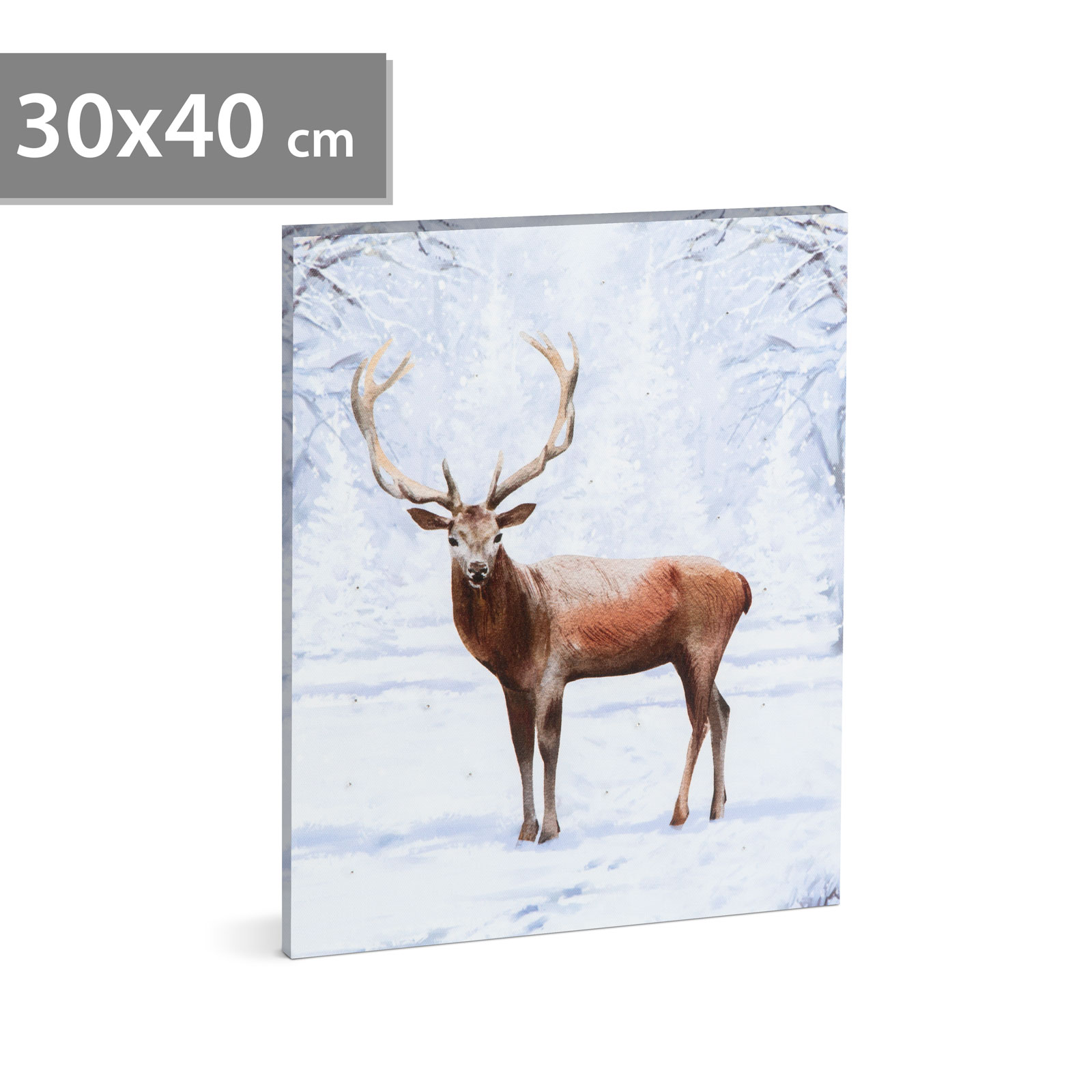 Tablou decorativ LED cu ren, 30 x 40 cm, iluminare calda, alimentare 2 x AA