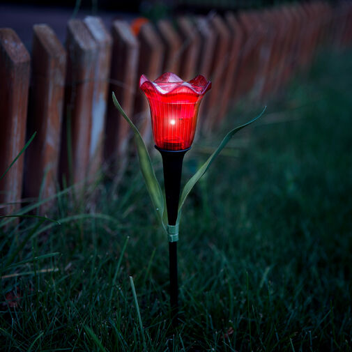 11750 • LED-es szolár tulipánlámpa - sárga / piros / rózsaszín - 31 cm - 12 db / kínáló