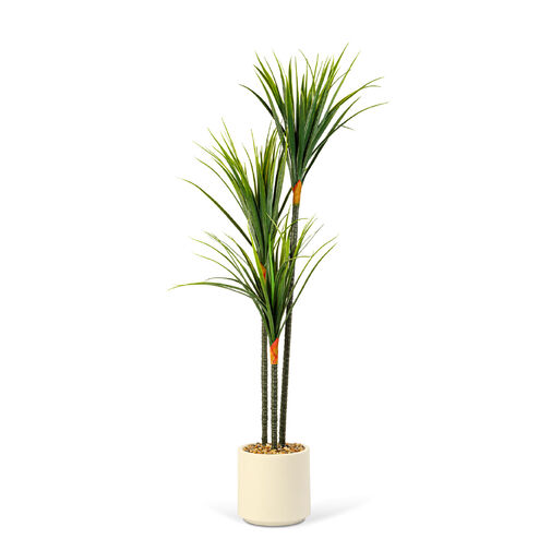 11903 • Műnövény dekoráció - Dracaena Marginata - zöld - 1,2 m