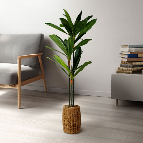 11906 • Műnövény dekoráció - Dracaena Fragrans - 1,1-1,2 m