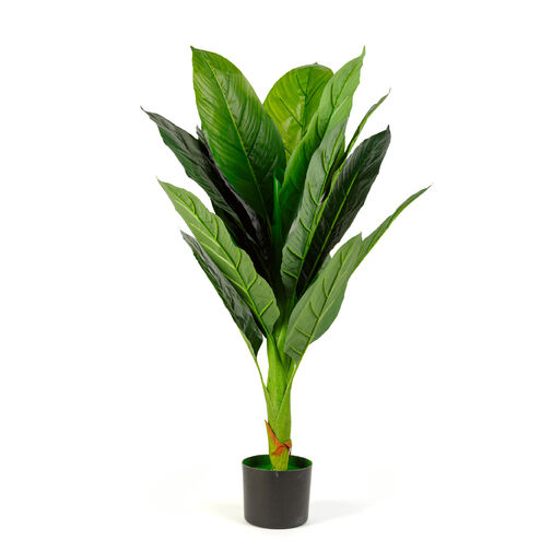 11911 • Műnövény dekoráció - colocasia - 100 cm