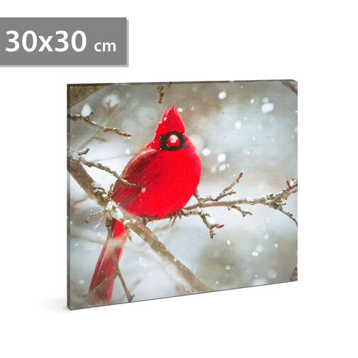 58478 • LED-es fali kép - vörös pinty - 30 x 30 cm