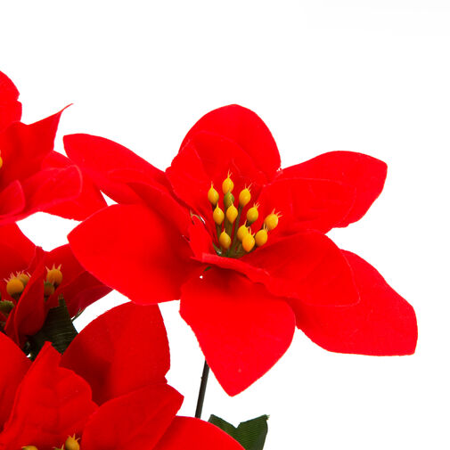 58681A • Karácsonyi mikulásvirág dekor - piros