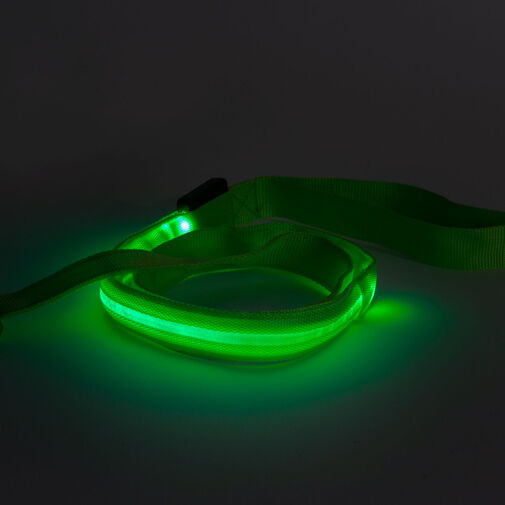 60026C • LED-es póráz - akkumulátoros - 120 x 2,5 cm - zöld